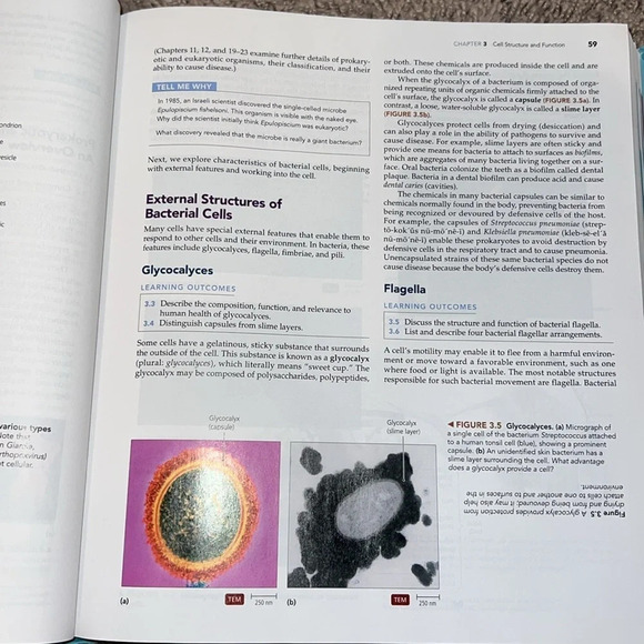 Microbiology College Textbook 5th edition - Picture 5 of 6